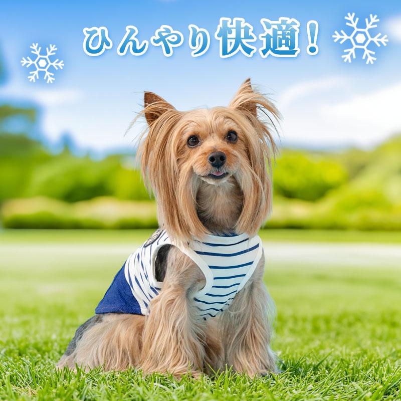 犬服 3S わんこの普段着　マリン PET PARADISE（ペットパラダイス） ポイント10倍 犬 服 夏 マリン風