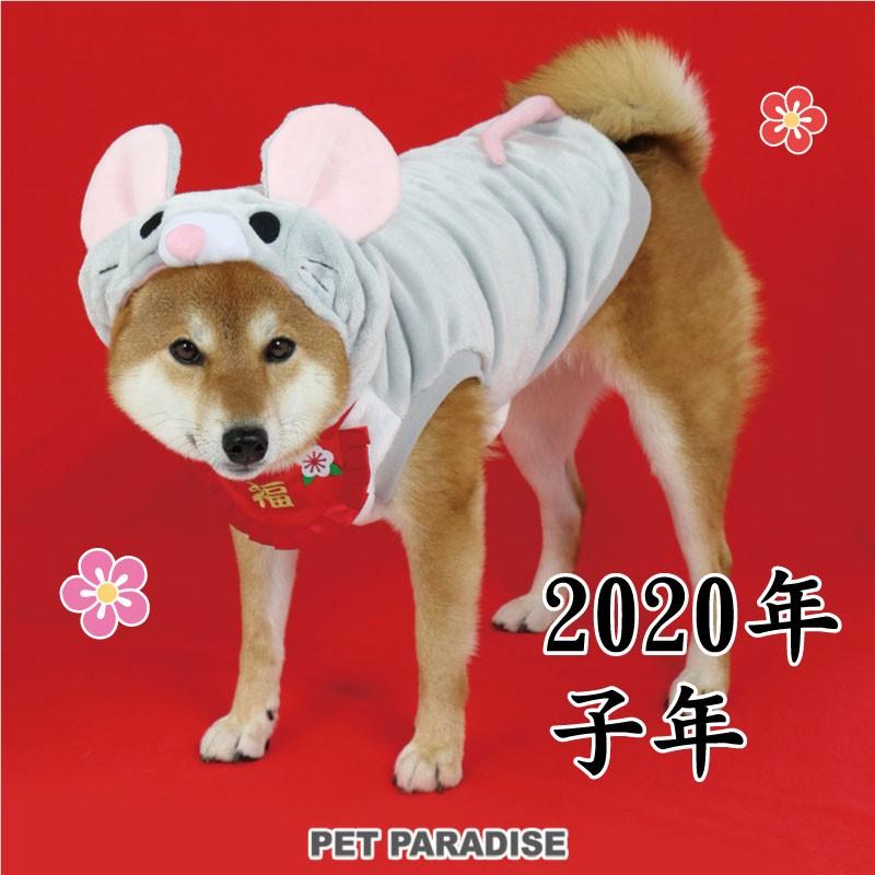 大型犬 服 セール 秋冬 かわいい コスチューム 中型犬 なりきり Sns インスタ映え ねずみ パーカー 中 大型犬 返品不可 ペットパラダイス 通販 Paypayモール