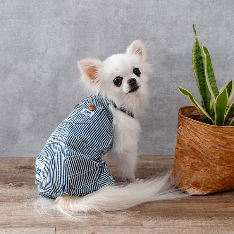 Lee（リー） 犬 服 春 ヒッコリー オーバーオール パンツつなぎ 小型犬