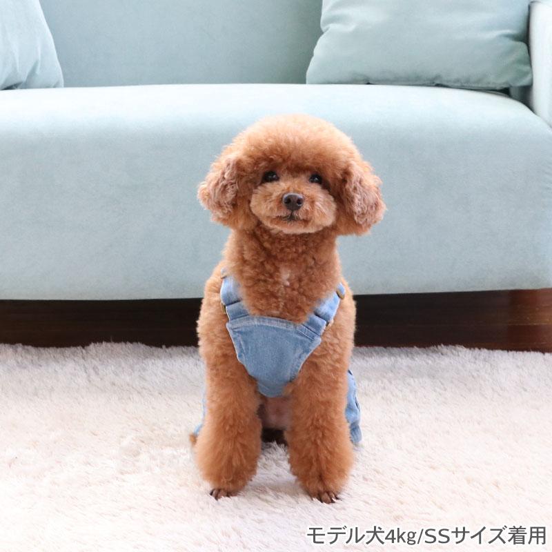 Lee（リー） 犬 服 春 ペイント デニム オーバーオール 小型犬