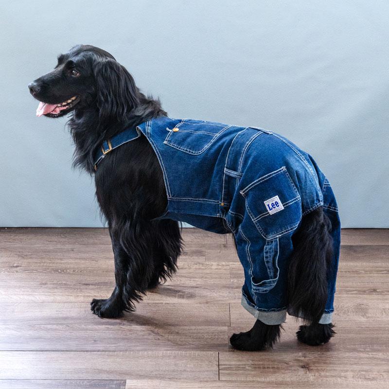 Lee（リー） 犬 服 秋 おしゃれ ブランド つなぎ 着せやすい 猫 〔中型