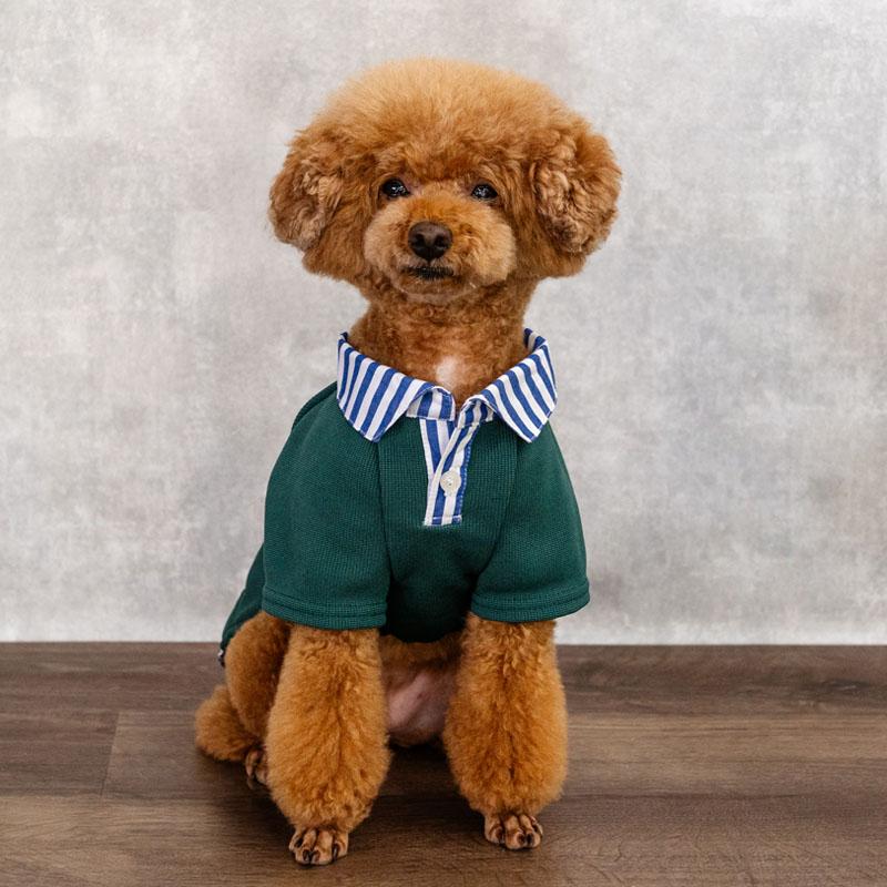J.PRESS（J.プレス） 犬 服 秋 フライス ポロシャツ 小型犬