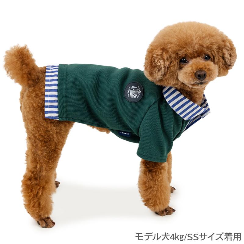 J.PRESS（J.プレス） 犬 服 秋 フライス ポロシャツ 小型犬