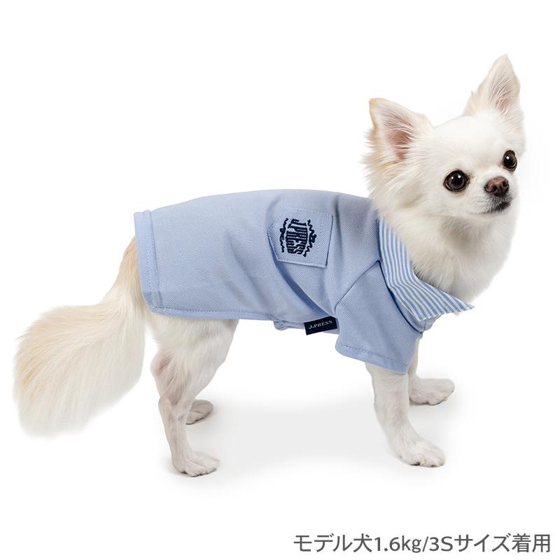 J.PRESS（J.プレス） 犬 服 春 カノコ スキッパー ポロシャツ 小型犬