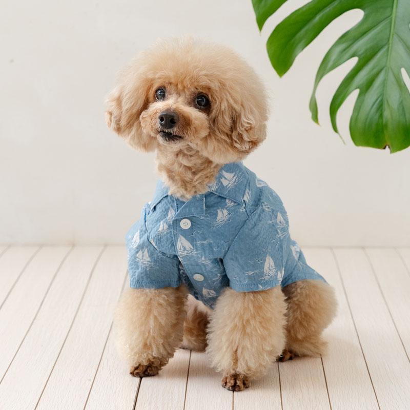 犬用 GG 水色ブラウス J.PRESS（J.プレス） ポイント5倍 犬 服 夏 船柄 シャツ 小型犬
