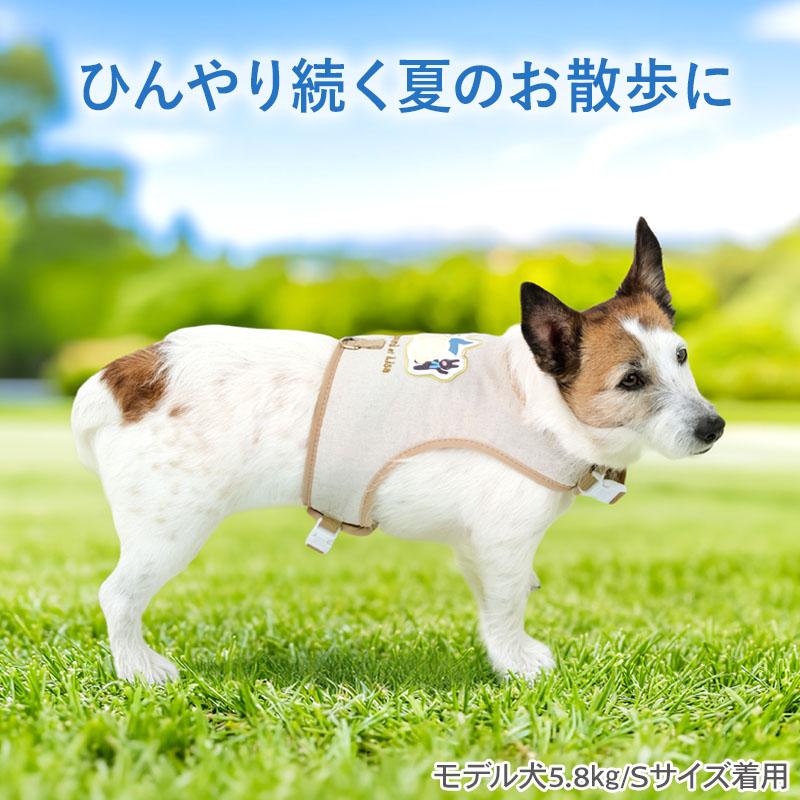 PET PARADISE（ペットパラダイス） リサとガスパール 犬 クール