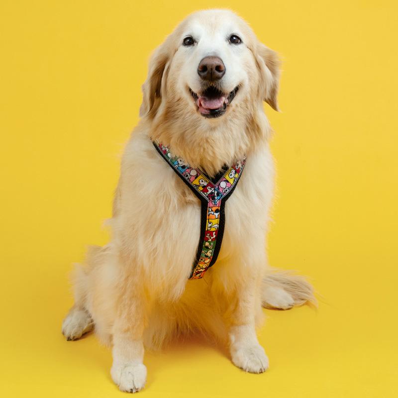 SNOOPY（スヌーピー） 75周年 犬 アクティブ ハーネス 反射 大型犬 L