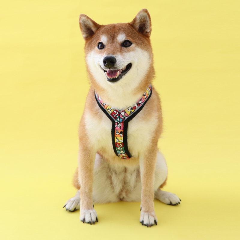SNOOPY（スヌーピー） 75周年 犬 アクティブ ハーネス 反射 中型犬 SM