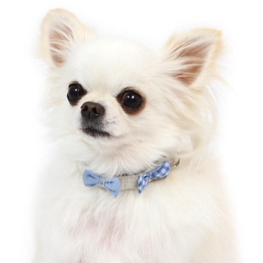 犬 首輪 小型犬 ｓｓ ブランド おしゃれ リボン 軽い 犬用 猫用 猫 簡単 りぼん 首輪 メール便可 犬用品