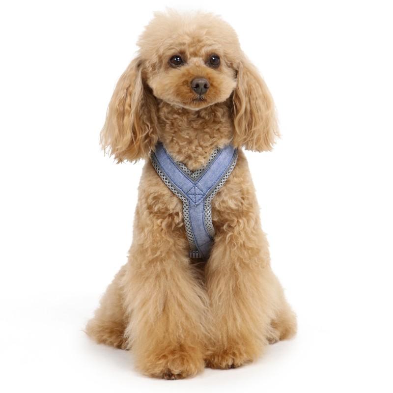 犬 ハーネス 犬用ハーネス 猫 おしゃれ デニム リボン アクティブ ハーネス ｓｓ 小型犬 犬 犬具 簡単装着 胴輪 ペットパラダイス 通販 Paypayモール