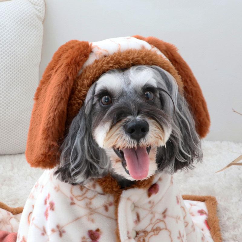 Disney（ディズニー） わんわん物語 レディ 犬 服 秋 着る毛布