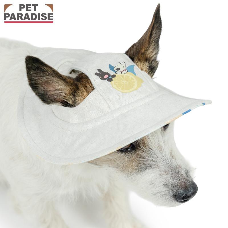 PET PARADISE（ペットパラダイス） リサとガスパール 犬 服 夏