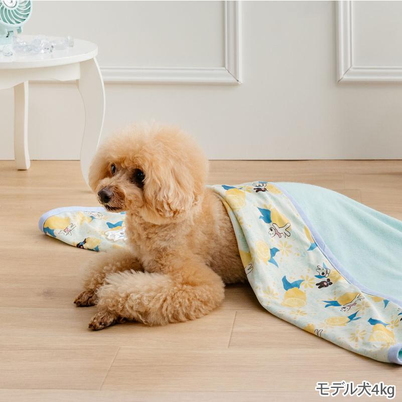 PET PARADISE（ペットパラダイス） リサとガスパール 犬 ブランケット