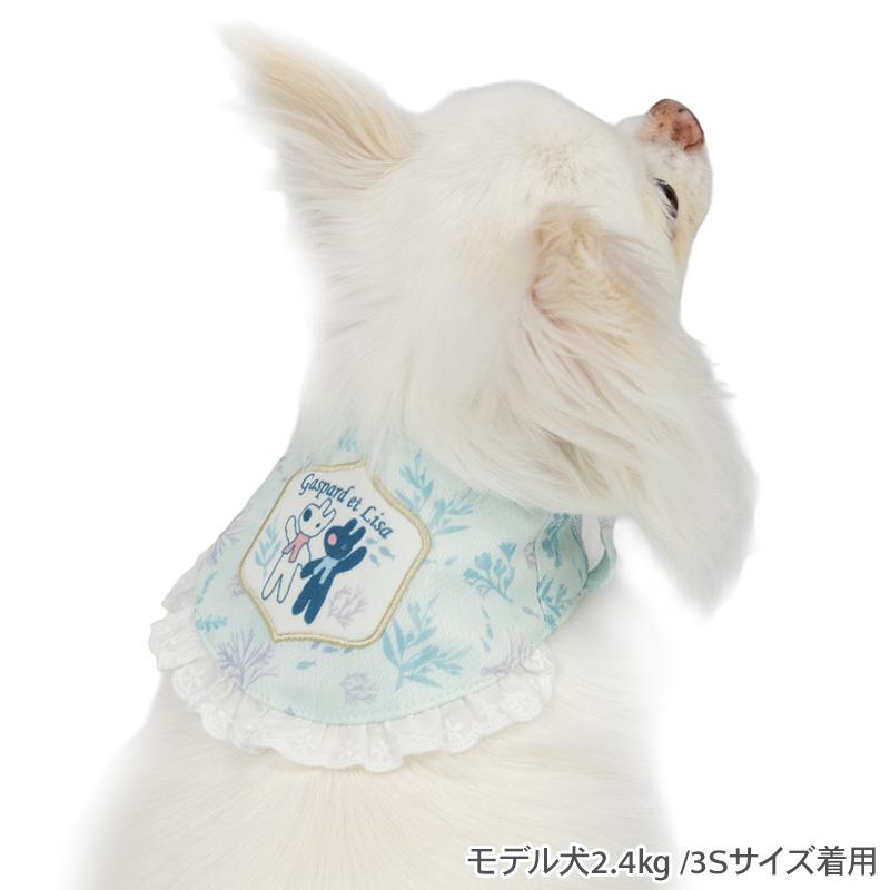 PET PARADISE（ペットパラダイス） ポイント5倍 リサとガスパール 犬