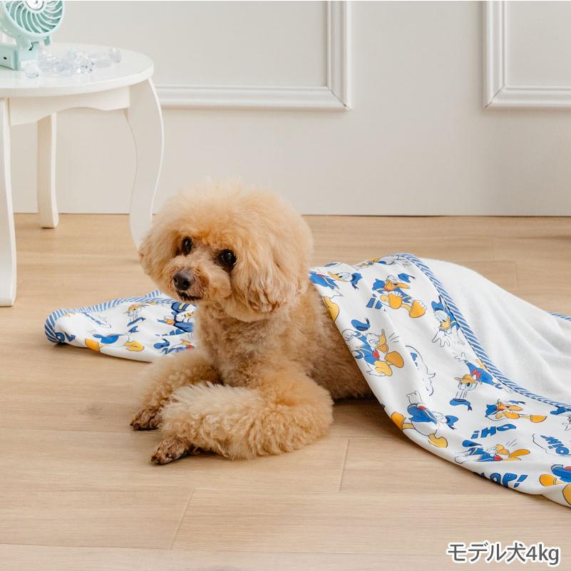 Disney（ディズニー） ドナルド 犬 ブランケット 夏用 クールケット