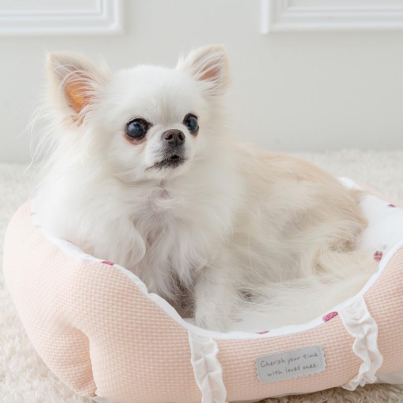 PETPARADISE イチゴ型ペットベッド、犬と生活ペットベッド&替え用カバー PET PARADISE（ペットパラダイス） 犬 ベッド 苺 フリル カドラー