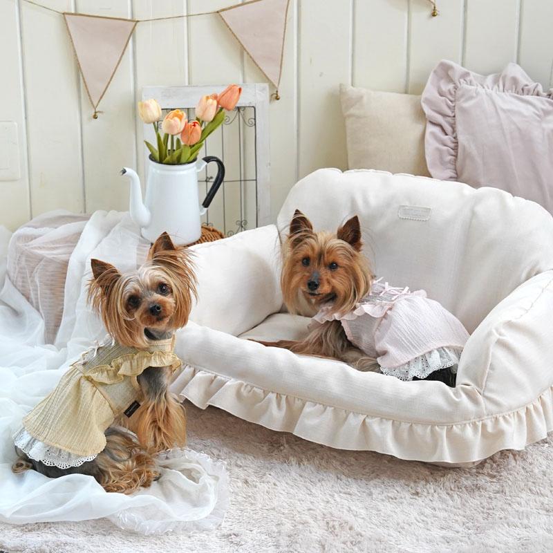 犬用ドレス イエロー レース リボン新品未使用 PET PARADISE（ペットパラダイス） 犬 服 春 スプリング ワンピース 全