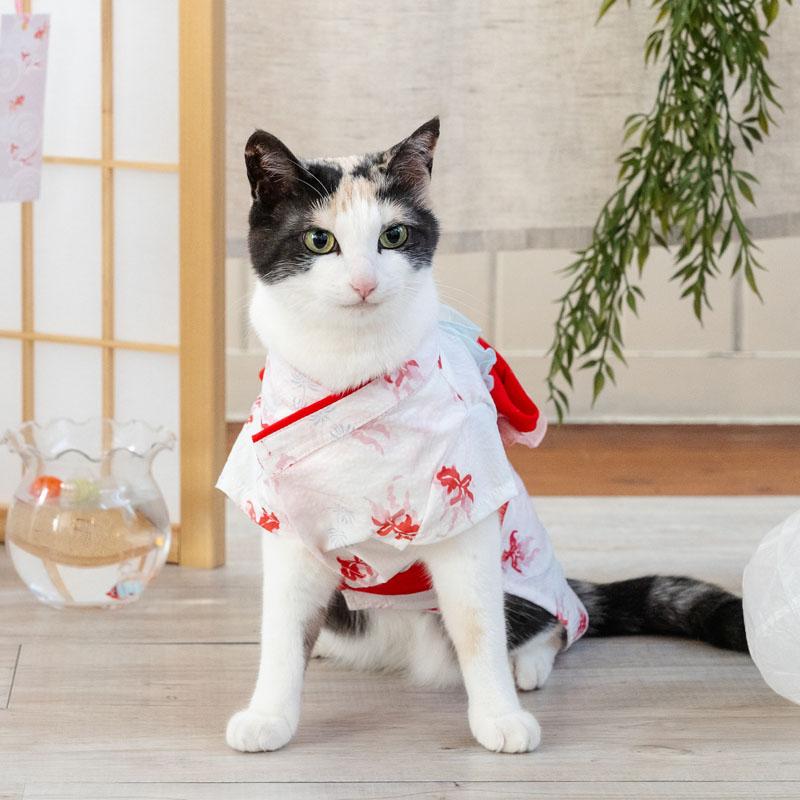 PET PARADISE（ペットパラダイス） 爆買SALE 犬 服 春 夏 遊泳 金魚柄