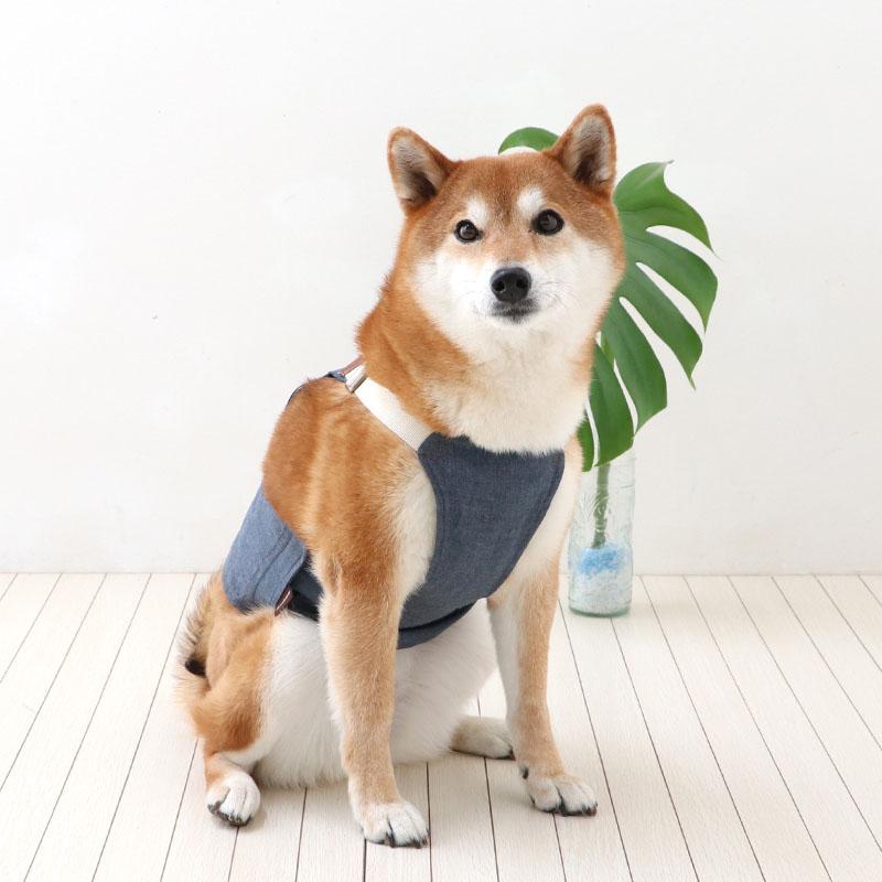 PET PARADISE（ペットパラダイス） 爆買SALE 犬 服 春 夏