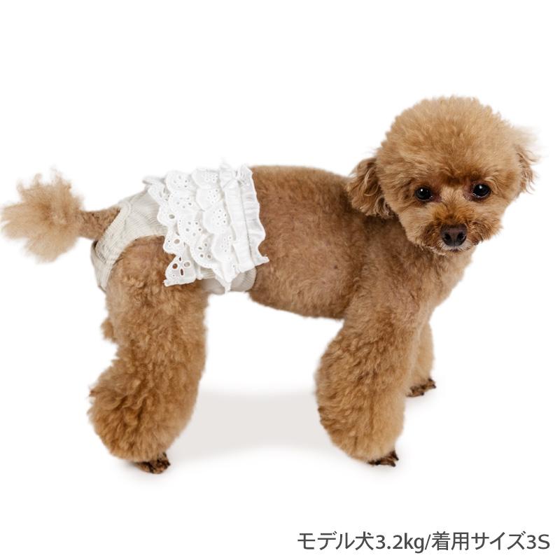 PET PARADISE（ペットパラダイス） 犬 服 秋 レース フリル サニタリー