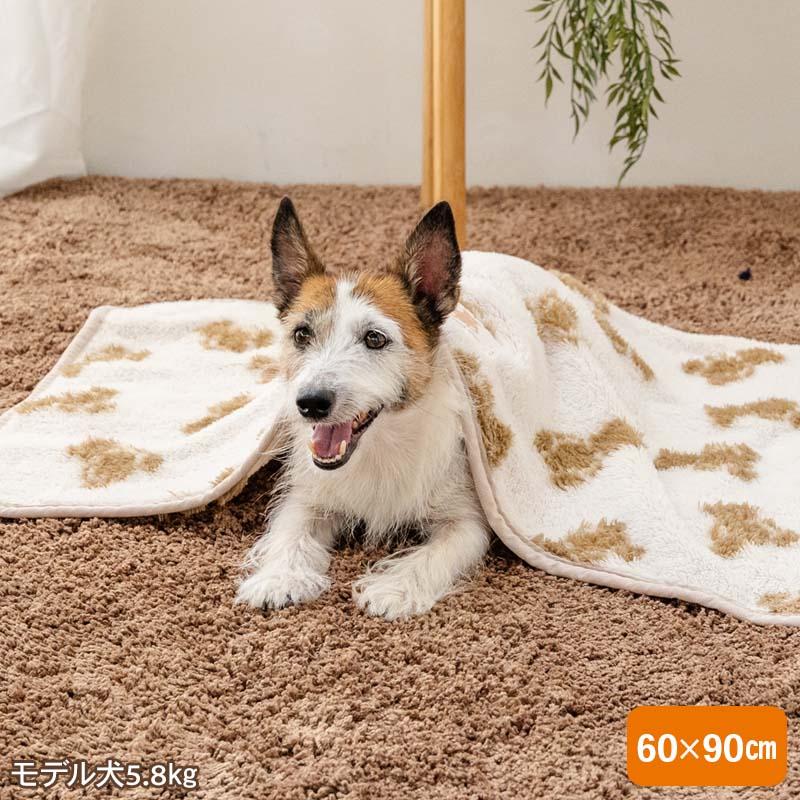 PET PARADISE（ペットパラダイス） 爆買SALE 犬 毛布 冬用 くまちゃん