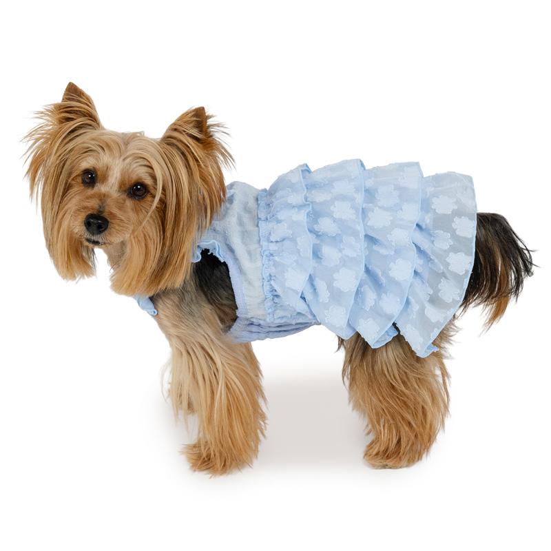 アトリエgg青と白のストライプ犬服 フリル付き ONE OCTAVE（ワンオクターヴ）ストライプフリルワンピ | 犬服・ドック