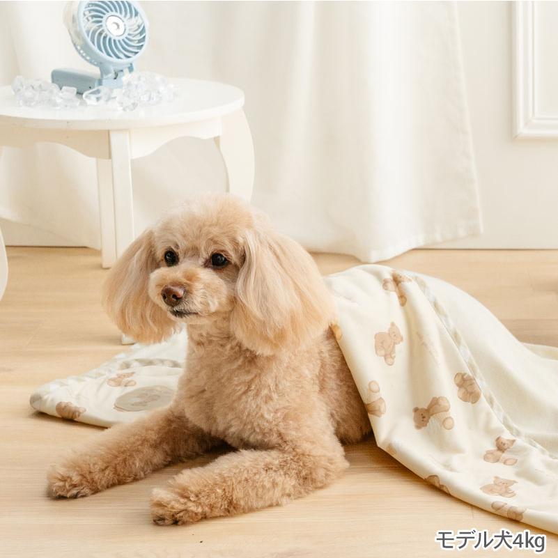 PET PARADISE（ペットパラダイス） ポイント10倍 犬 ブランケット 夏用