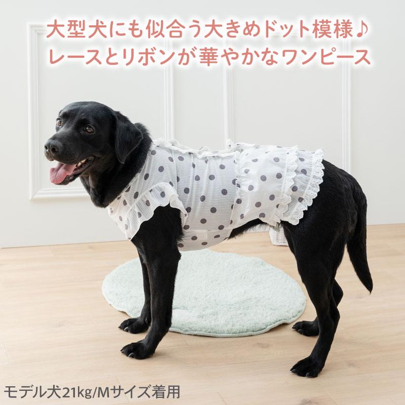 PET PARADISE（ペットパラダイス） 犬 服 秋 ドット柄 フリル