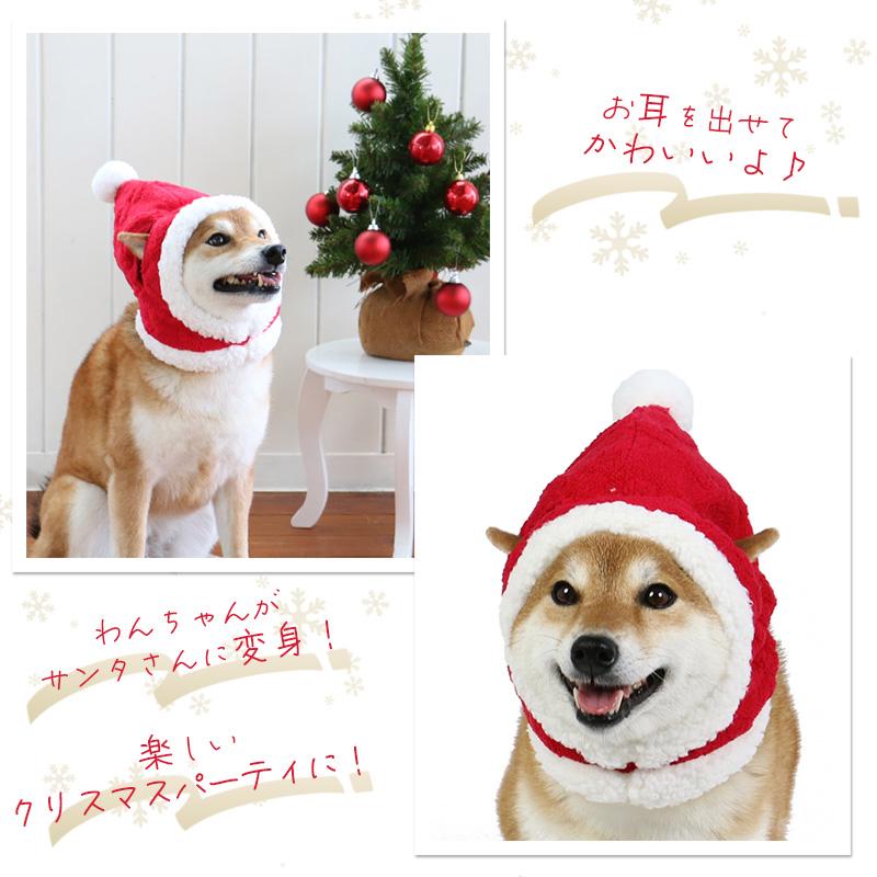 犬 帽子 冬 クリスマス サンタ コスプレ 〔 中型犬 大型犬 〕 キャップ スヌード 防寒 暖かい | もこもこ サンタクロース メール便可｜pet-para｜03