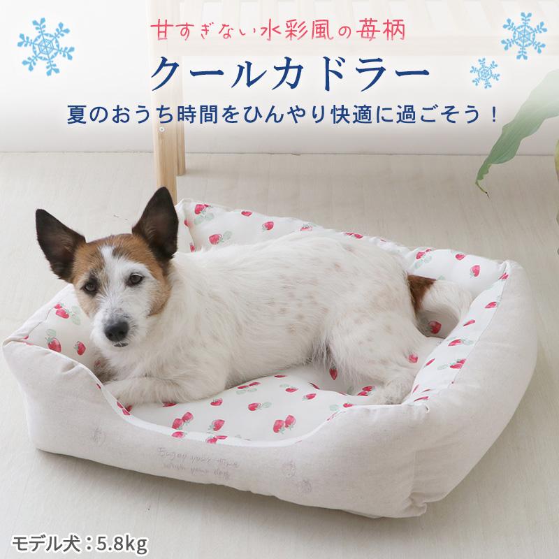 犬 猫 ベッド 夏用ベッド ペットベッド 〔 小型犬 〕夏用 洗える 冷感 ひんやり クール 暑さ対策 夏 | 苺 (57×45cm) 四角｜pet-para｜02