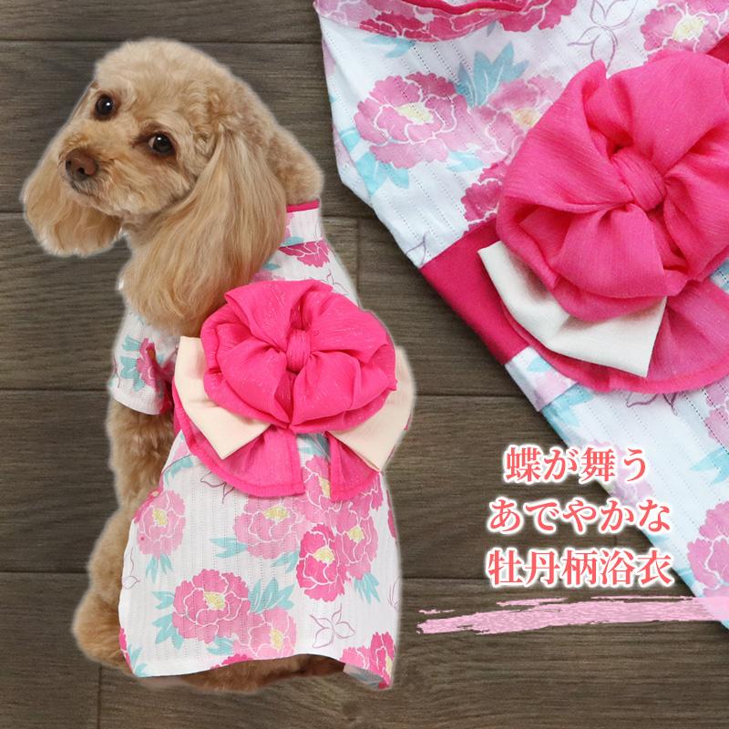 犬服・アクセサリー pink hawaii MANDARINE BROTHERS マンダリン