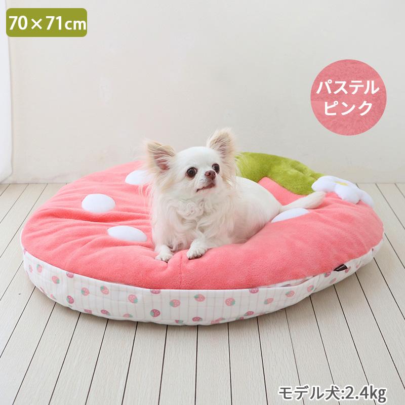 PET PARADISE（ペットパラダイス） ポイント10倍〔入荷待ち〕犬 ペット