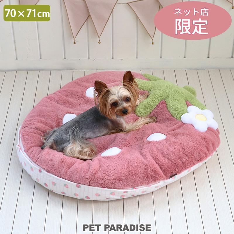 いちご購入 動物イラストのペット雑貨 PET PARADISE 犬 ペットベッド 苺 クッション 小型犬 ネット店