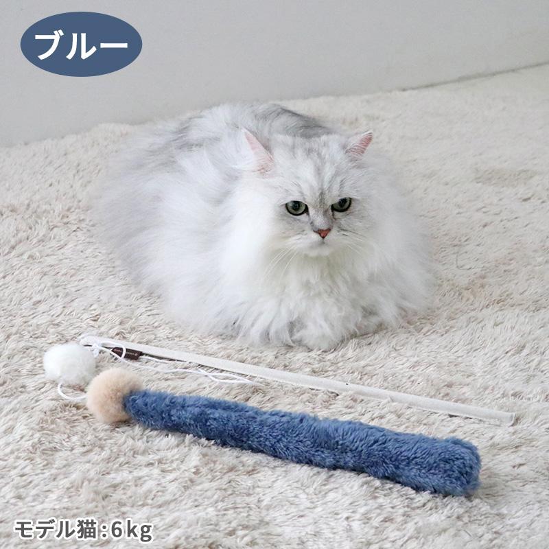 じゃれねこ『8月☆13ライトブルー』 じゃれねこ『8月☆13ライトブルー』