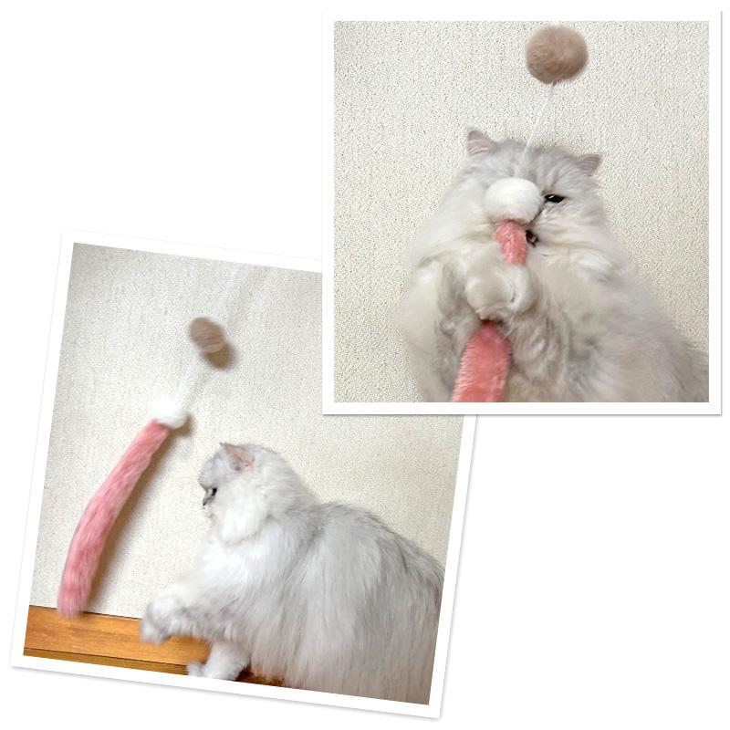 PET PARADISE 猫 おもちゃ 猫じゃらし しっぽ ピンク ブルー PET PARADISE 猫 おもちゃ 猫じゃらし しっぽ ピンク ブルー