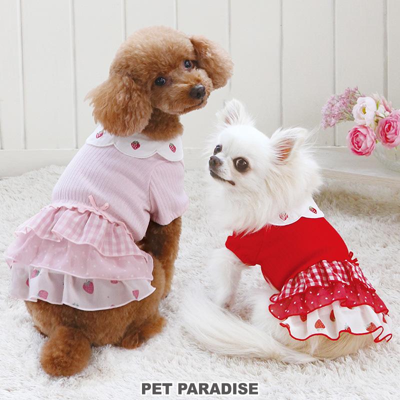 赤い花の犬の服 犬服 和風花柄チャイナドレス風ペット服 小型犬|犬服専門通販