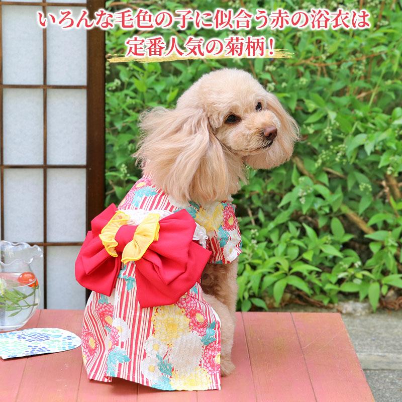 サイズ感イメージ　ハンドメイド 和柄 犬服　犬 着物　浴衣　和服　お祭り　夏 Amazon | 犬 浴衣 ゆかた 日風 和服 犬服 夏祭り かわいい 犬の
