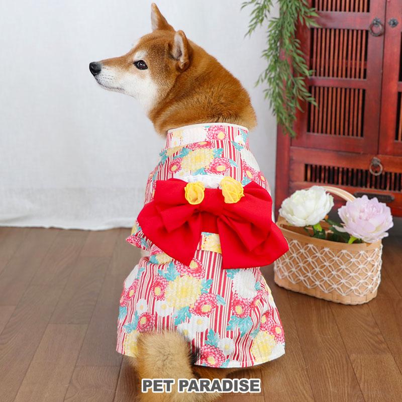 赤い花の犬の服
