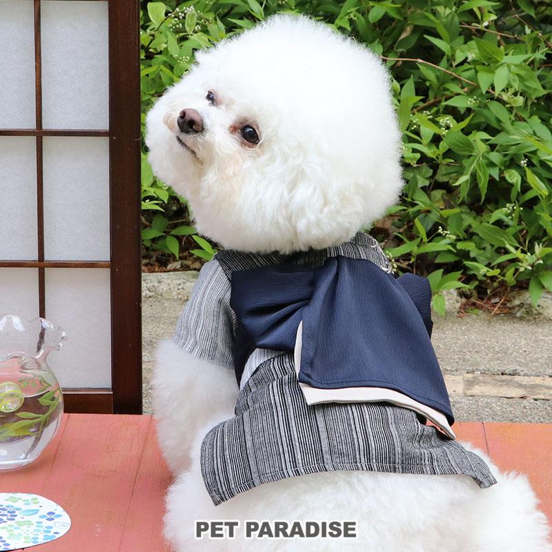 PET PARADISE 犬 服 夏 浴衣 小型犬 とんぼ刺繍 | 男の子 トンボ