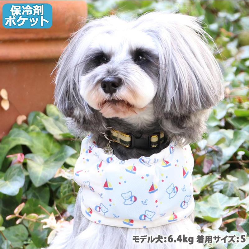 メーカー直送亀甲や 10ヶ入 特大もなか 超可爱の