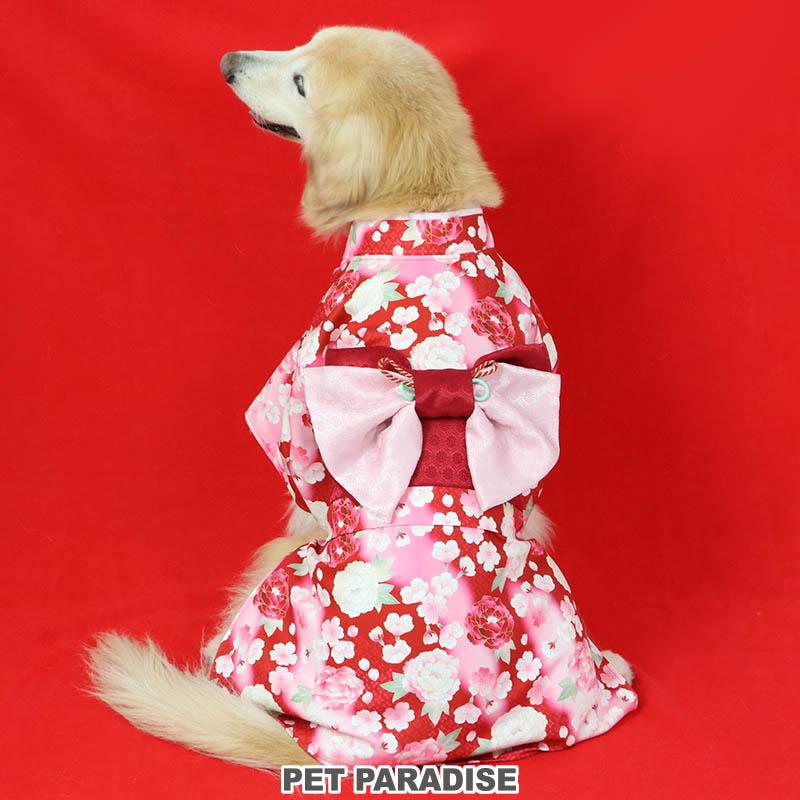 赤い花の犬の服