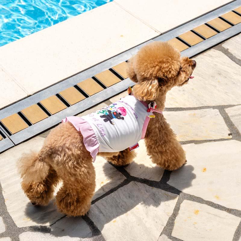 PET PARADISE（ペットパラダイス） サマーセール リサとガスパール 犬
