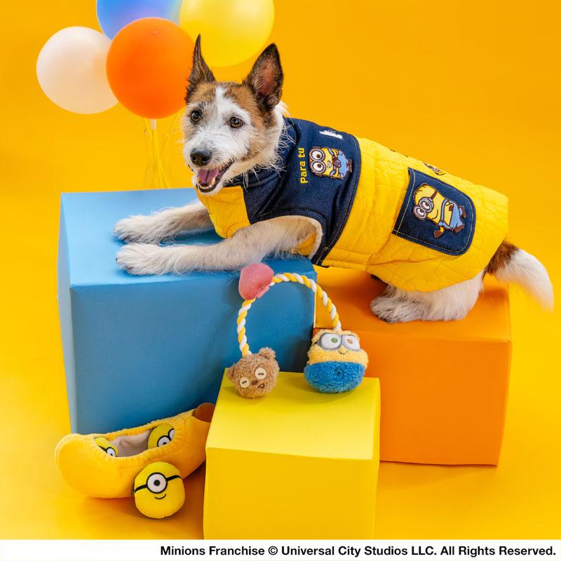MINIONS（ミニオンズ） ミニオン ボブ 犬 服 冬 脇開き ベスト 小型犬