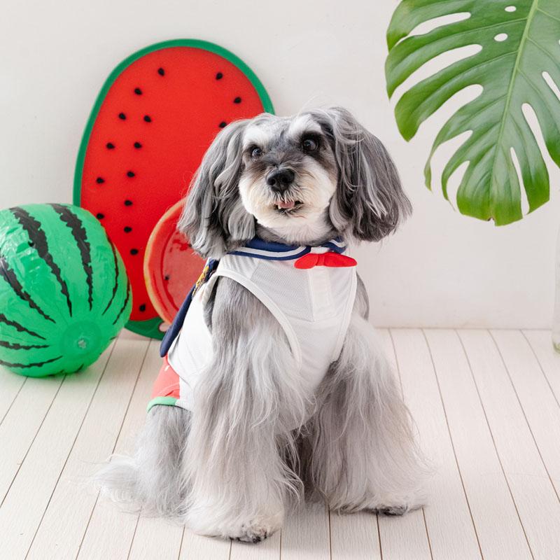 SNOOPY（スヌーピー） 犬 服 夏 脇開き タンクトップ 小型犬