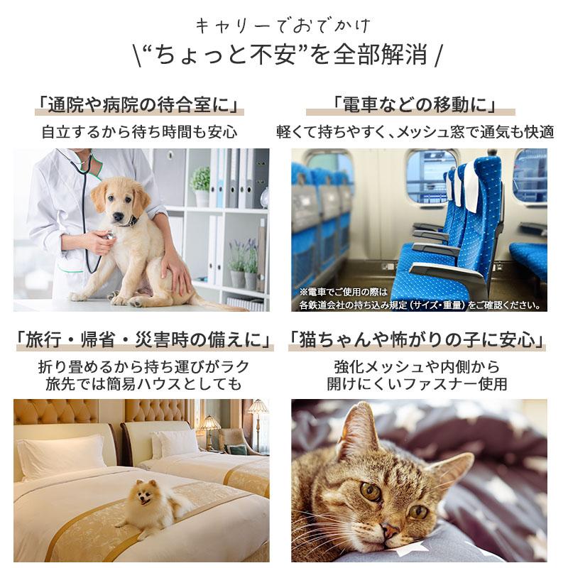 PET PARADISE（ペットパラダイス） リサとガスパール 犬 キャリー