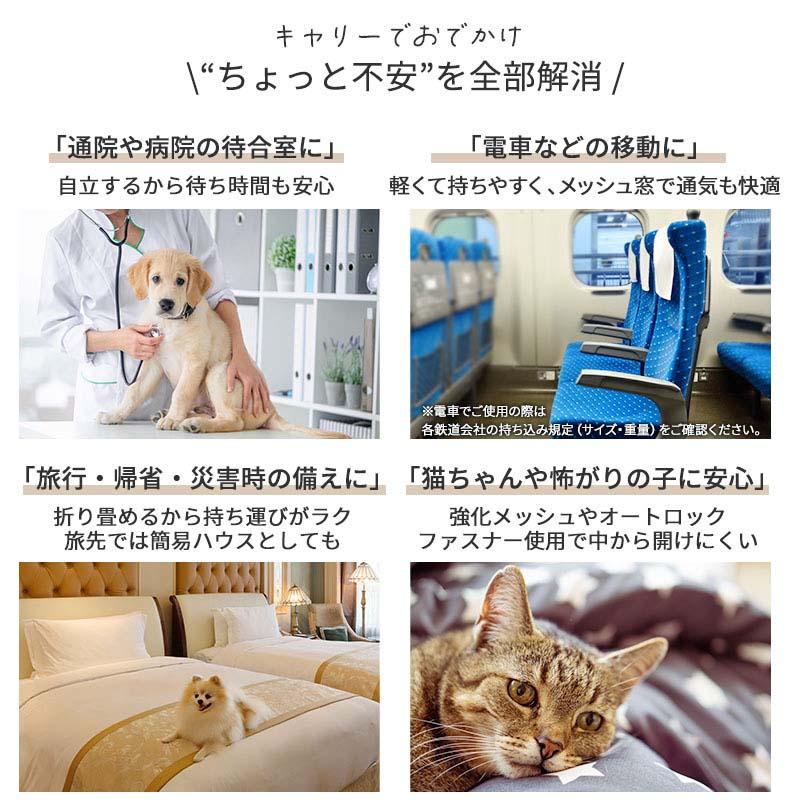 スヌーピー 犬 キャリーバッグ ワッペン 折畳 リュック 小型犬 | ネイビー 飛び出し防止ストラップ 肩がけ キャリーケース_1