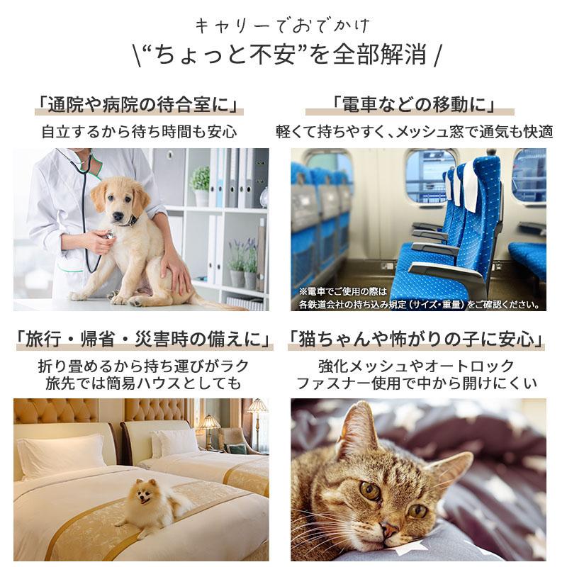 SNOOPY（スヌーピー） 犬 キャリーバッグ ワッペン 折畳 キャリー 小型