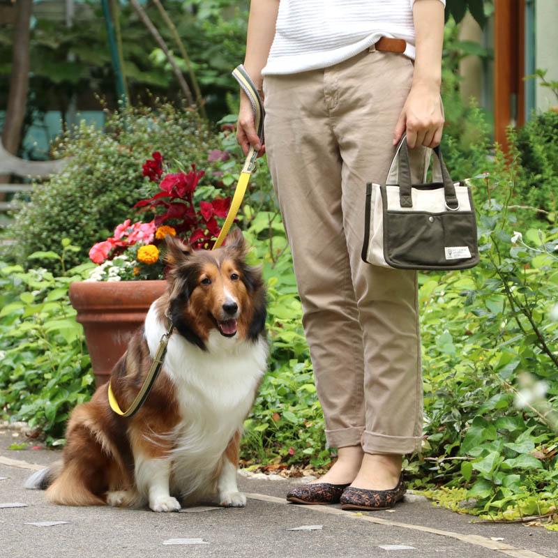 素晴らしい価格 犬 散歩 バッグ セール 小さめ ブランド おしゃれ ショルダー 便利 斜めがけ 散歩用品 2way ポケット 散歩バッグ ミニ 22 18cm 返品不可2 376円 Aynaelda Com