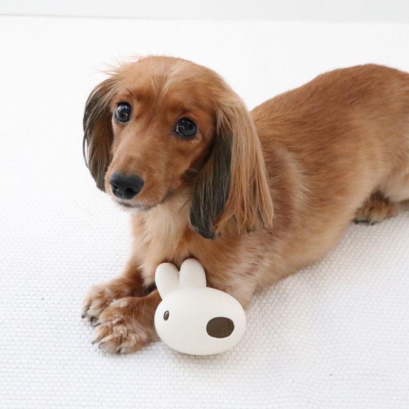 PET PARADISE（ペットパラダイス） リサとガスパール 犬 おもちゃ リサ