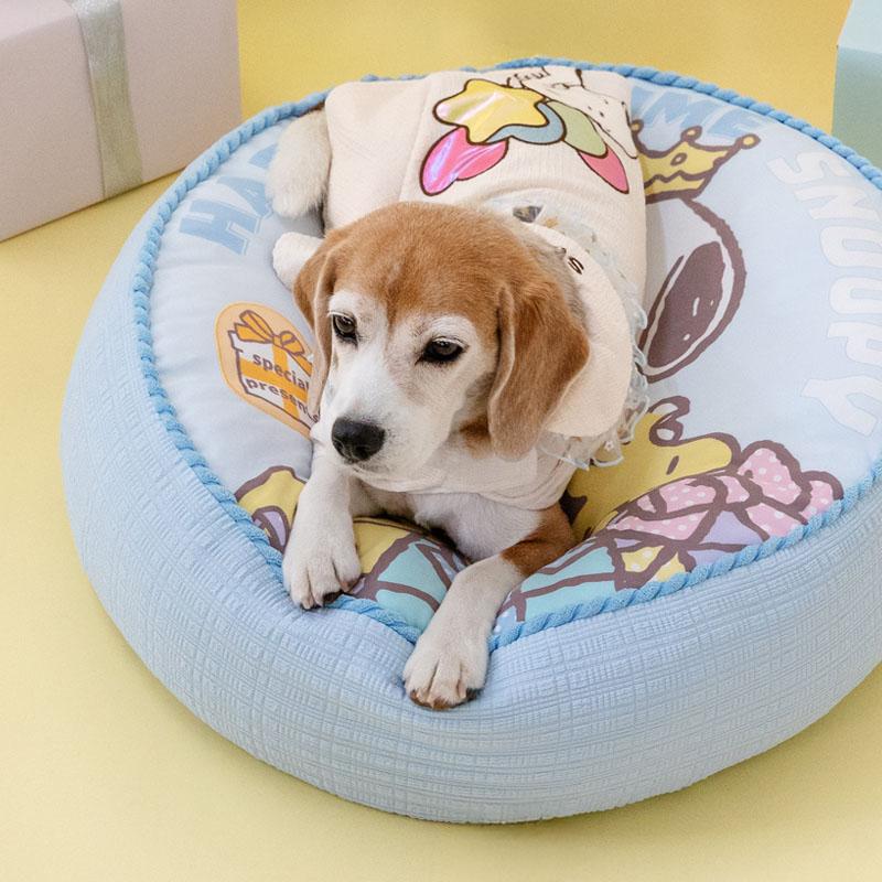 SNOOPY（スヌーピー） 【数量限定】 犬 クッション バースデー